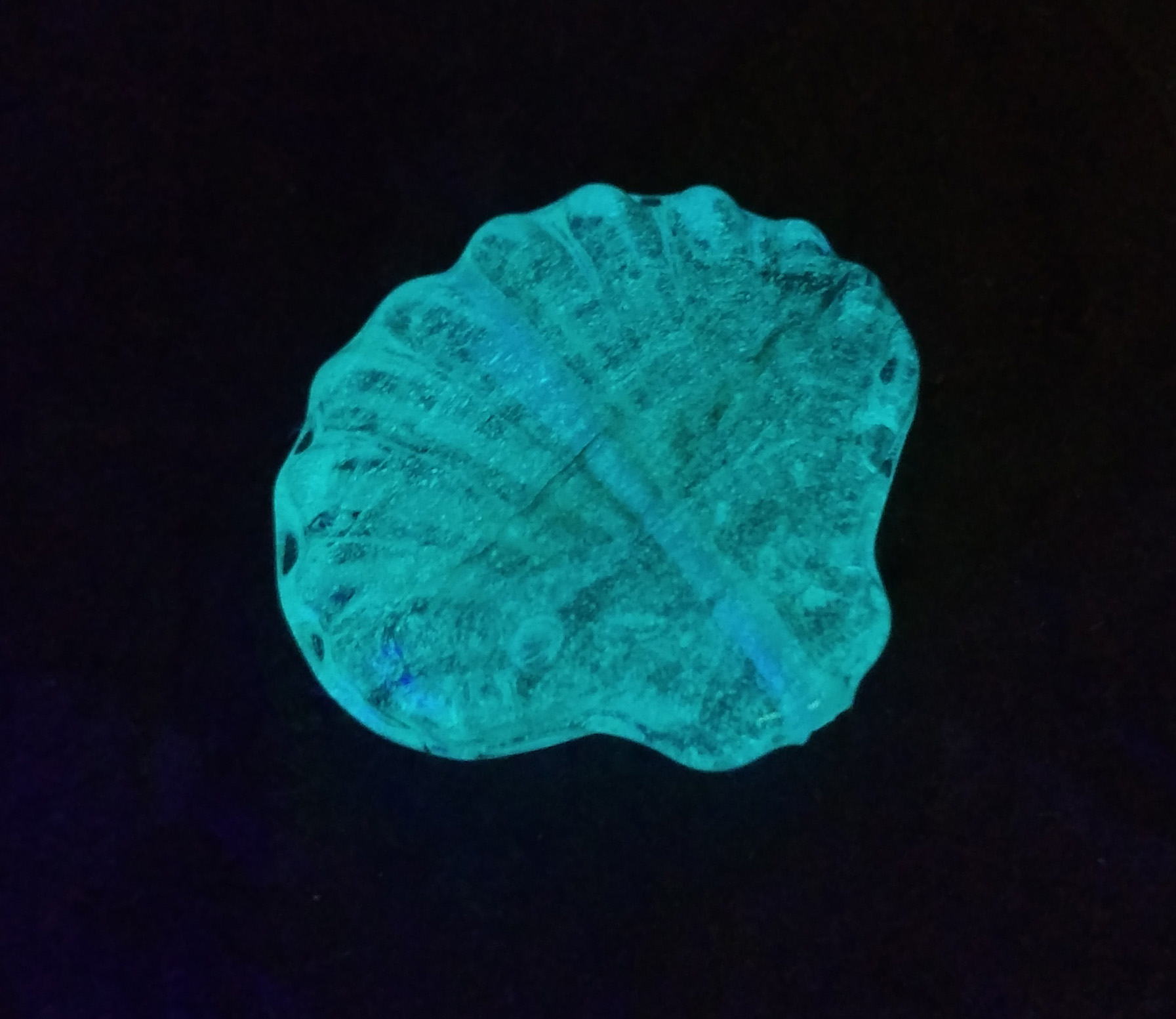 511834GGlowInTheDark